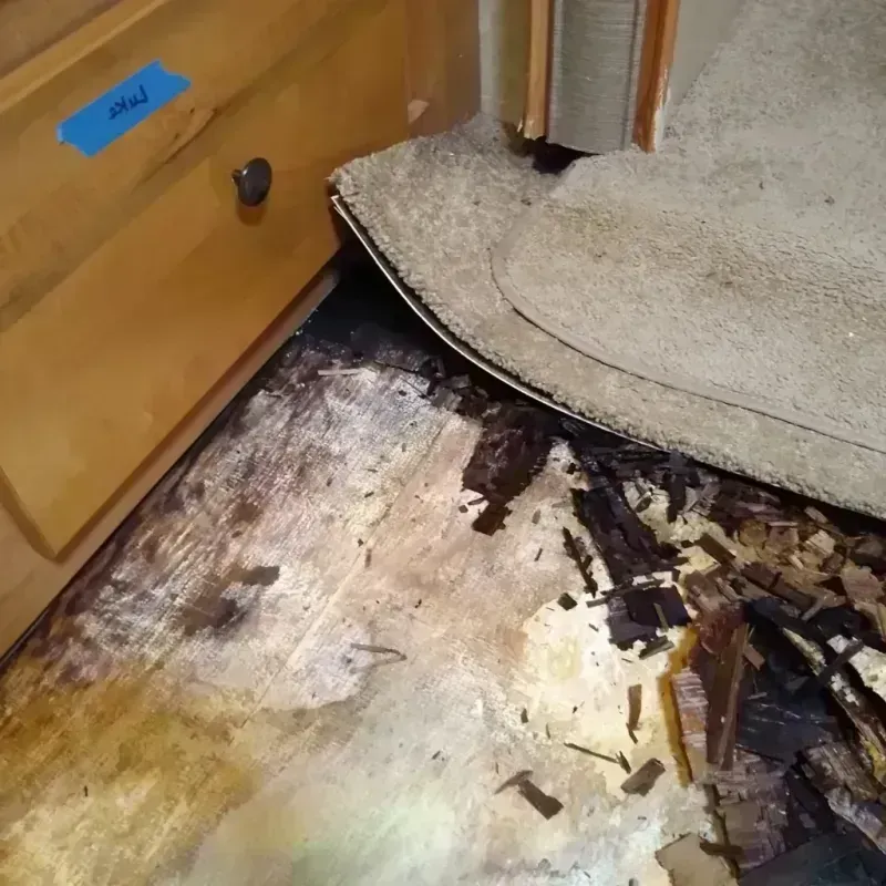 Wood Floor Water Damage in Minneapolis, MN